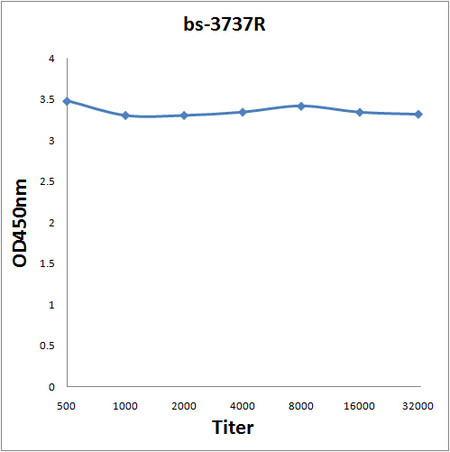 Phospho-PPAR Gamma (Ser112) Antibody in ELISA (ELISA)