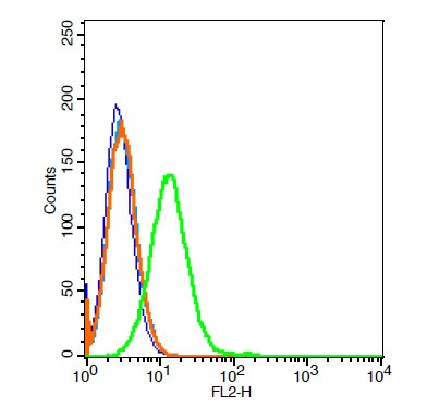 CD21/EBV receptor Antibody in Flow Cytometry (Flow)