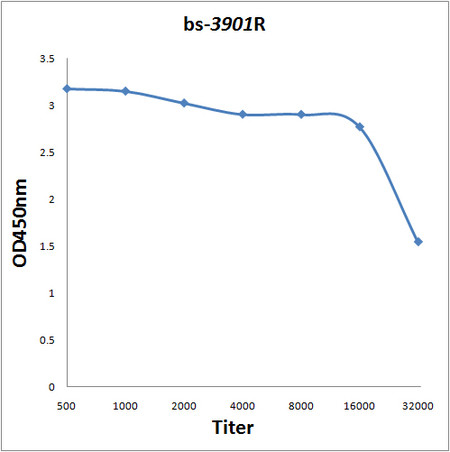 Cubilin Antibody in ELISA (ELISA)