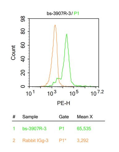 Legumain Antibody in Flow Cytometry (Flow)