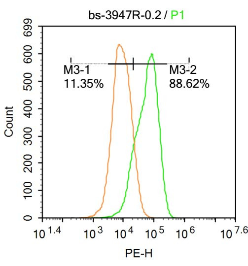 IDH2 Antibody in Flow Cytometry (Flow)