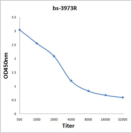 UQCRC2 Antibody in ELISA (ELISA)