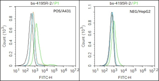 ADAM8 Antibody in Flow Cytometry (Flow)