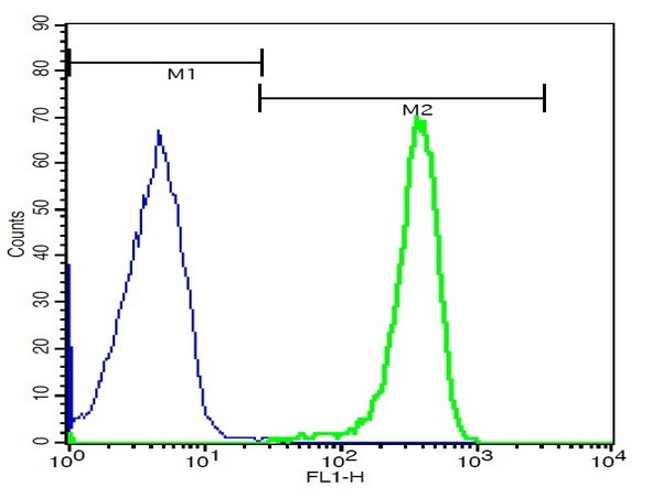 AQP2 Antibody in Flow Cytometry (Flow)