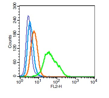 ICAM1 Antibody in Flow Cytometry (Flow)