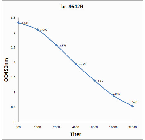 Kilham Rat Virus/KRV-VP1/KRV-VP2 Antibody in ELISA (ELISA)