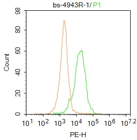 MPO Antibody in Flow Cytometry (Flow)