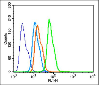 BDNF Antibody in Flow Cytometry (Flow)