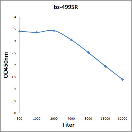 Insulin receptor subunit beta Antibody in ELISA (ELISA)