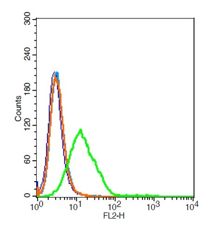 Insulin receptor subunit beta Antibody in Flow Cytometry (Flow)