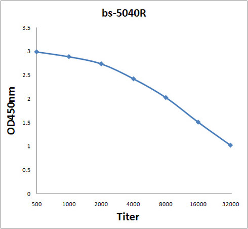 BAAT Antibody in ELISA (ELISA)