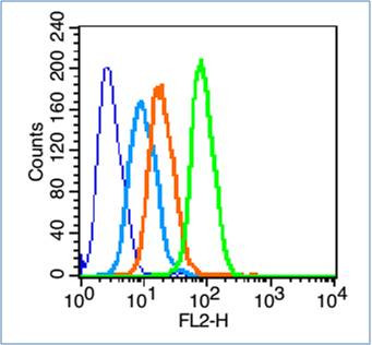 Phospho-CREB-1Ser142 (Ser142) Antibody in Flow Cytometry (Flow)