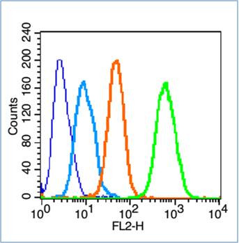 Phospho-CREB-1Ser121 (Ser121) Antibody in Flow Cytometry (Flow)