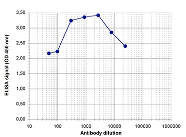 H3R17me2 Antibody in ELISA (ELISA)