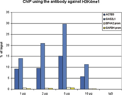 H3K4me1 Antibody in ChIP Assay (ChIP)