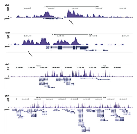 H3K4me1 Antibody in ChIP-Sequencing (ChIP-seq)