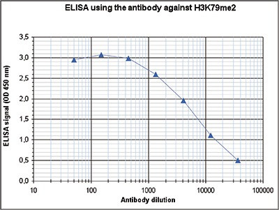 H3K79me2 Antibody in ELISA (ELISA)