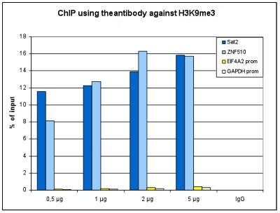 H3K9me3 Antibody in ChIP Assay (ChIP)