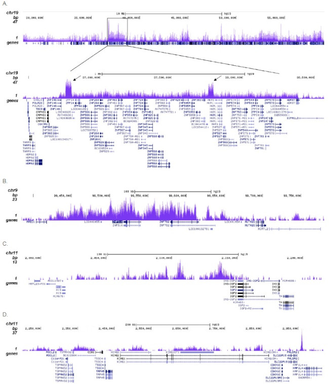 H3K9me3 Antibody in ChIP-Sequencing (ChIP-seq)