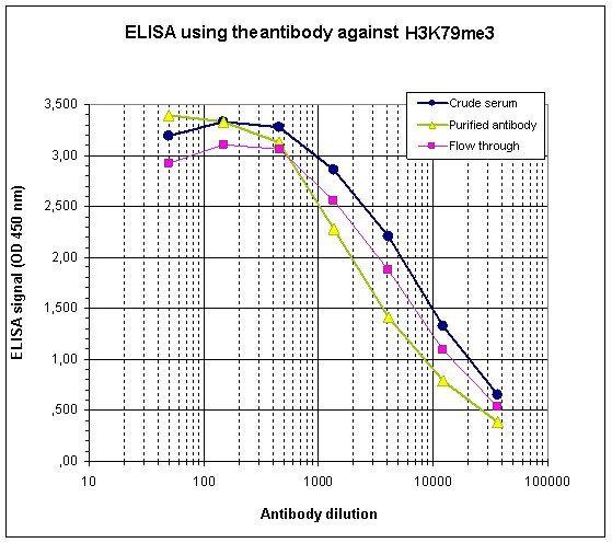 H3K79me3 Antibody in ELISA (ELISA)