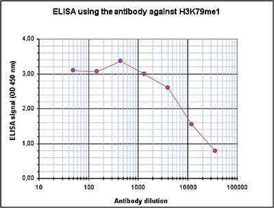 H3K79me1 Antibody in ELISA (ELISA)