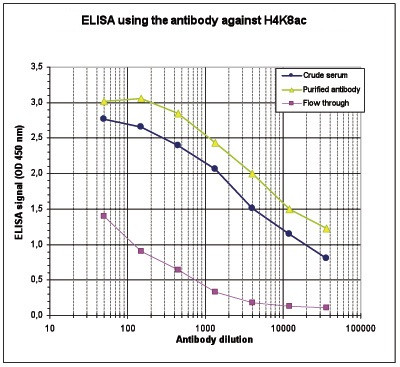 H4K8ac Antibody in ELISA (ELISA)