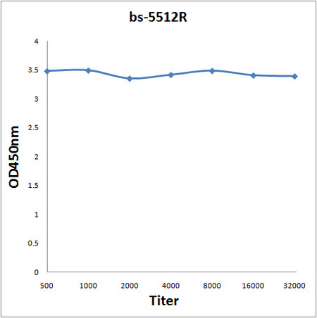 Phospho-NFKB1 (Ser337) Antibody in ELISA (ELISA)