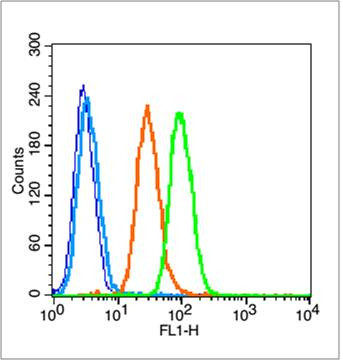 Phospho-NFKB1 (Ser337) Antibody in Flow Cytometry (Flow)