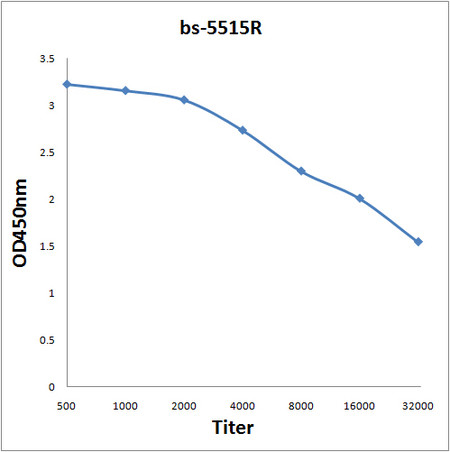 Phospho-NFKBIA (Tyr305) Antibody in ELISA (ELISA)