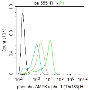 Phospho-AMPK alpha-1 (Thr198) Antibody in Flow Cytometry (Flow)