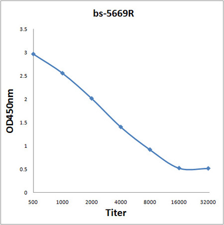 Phospho-RPS6KB1 (Thr412) Antibody in ELISA (ELISA)