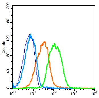 ADAM28 Antibody in Flow Cytometry (Flow)