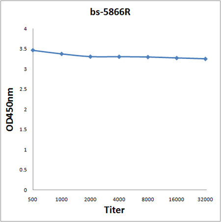 KLK13 Antibody in ELISA (ELISA)