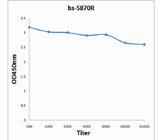 KLK6 Antibody in ELISA (ELISA)