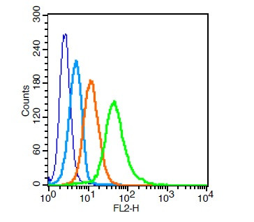 BST1 Antibody in Flow Cytometry (Flow)