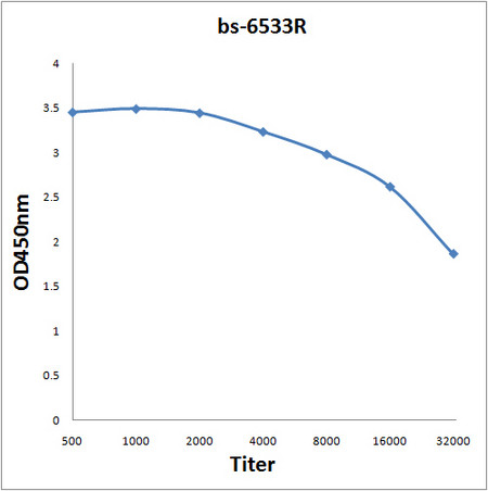 EIG121 Antibody in ELISA (ELISA)