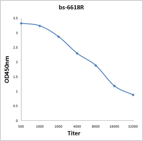 PAPPA Antibody in ELISA (ELISA)