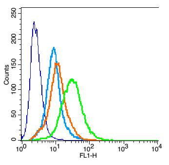 KCNK3 Antibody in Immunocytochemistry (ICC/IF)