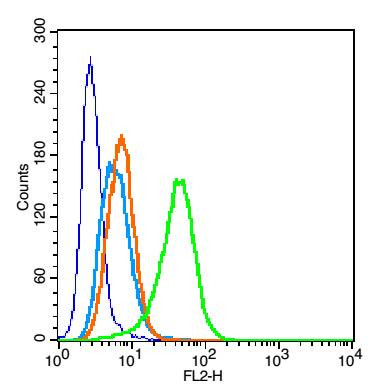 Perilipin A+B Antibody in Flow Cytometry (Flow)