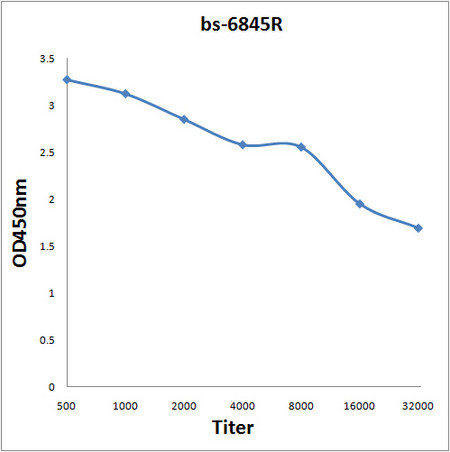 NOX5 Antibody in ELISA (ELISA)