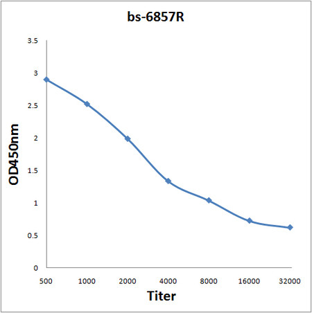 beta COP Antibody in ELISA (ELISA)