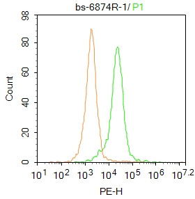 Catalase Antibody in Flow Cytometry (Flow)