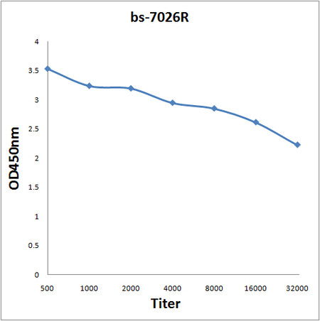 HSP10 Antibody in ELISA (ELISA)