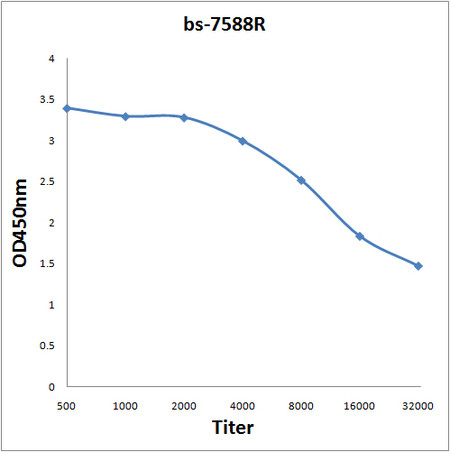 A4GALT Antibody in ELISA (ELISA)