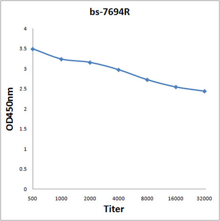 SLC12A3 Antibody in ELISA (ELISA)