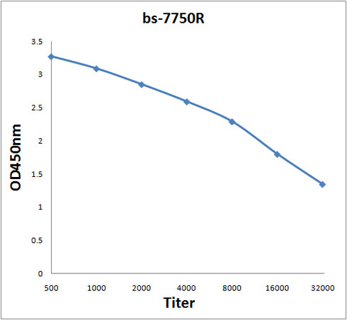 MKLP2 Antibody in ELISA (ELISA)