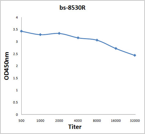 SDHC Antibody in ELISA (ELISA)