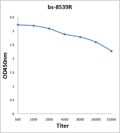 Luciferase Antibody in ELISA (ELISA)