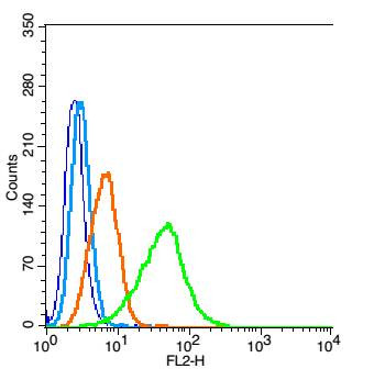 Nitrotyrosine Antibody in Flow Cytometry (Flow)