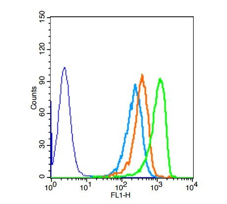 DOK5 Antibody in Flow Cytometry (Flow)